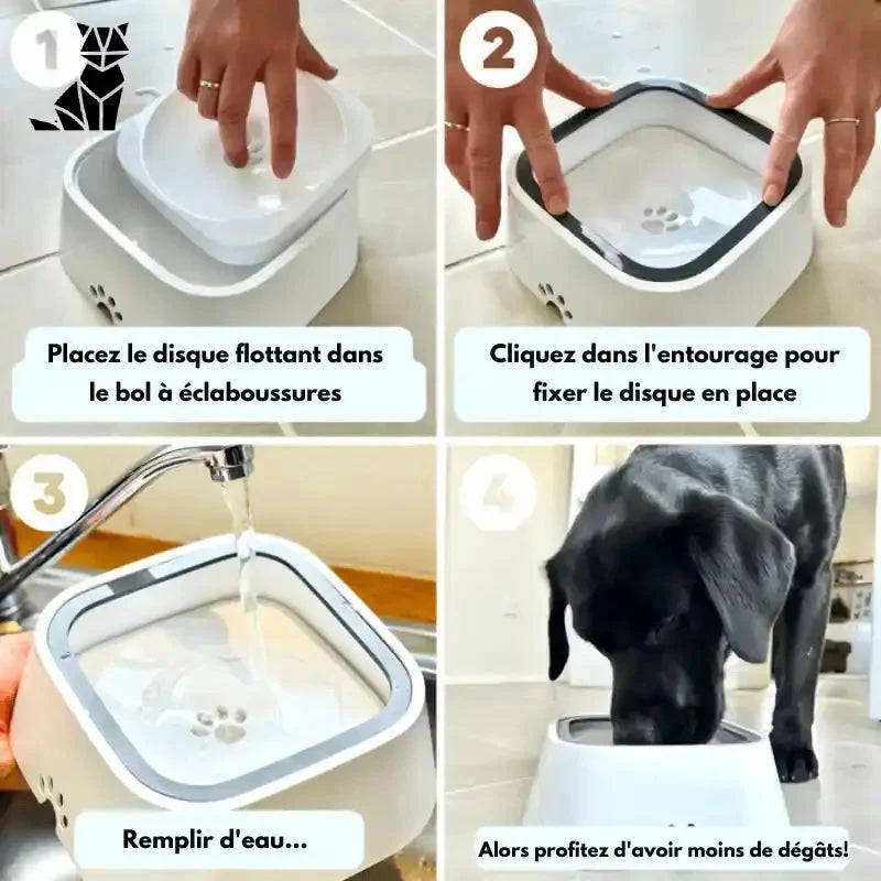 Personne nourrissant un chien avec de l’OG Water Basin