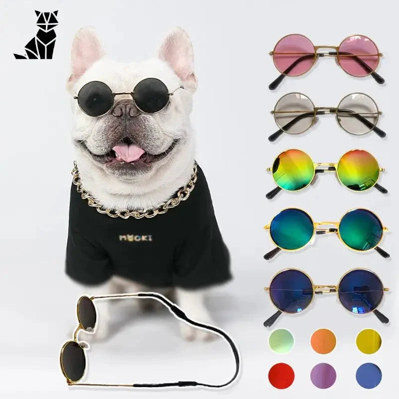 Chien portant des lunettes de soleil et une chemise noire de Sunglasses for Dogs : SFP Accessories for Animals