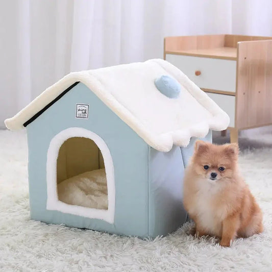 Petit chien assis dans une niche en velours bleu - espace privé pour chiens, chats et lapins