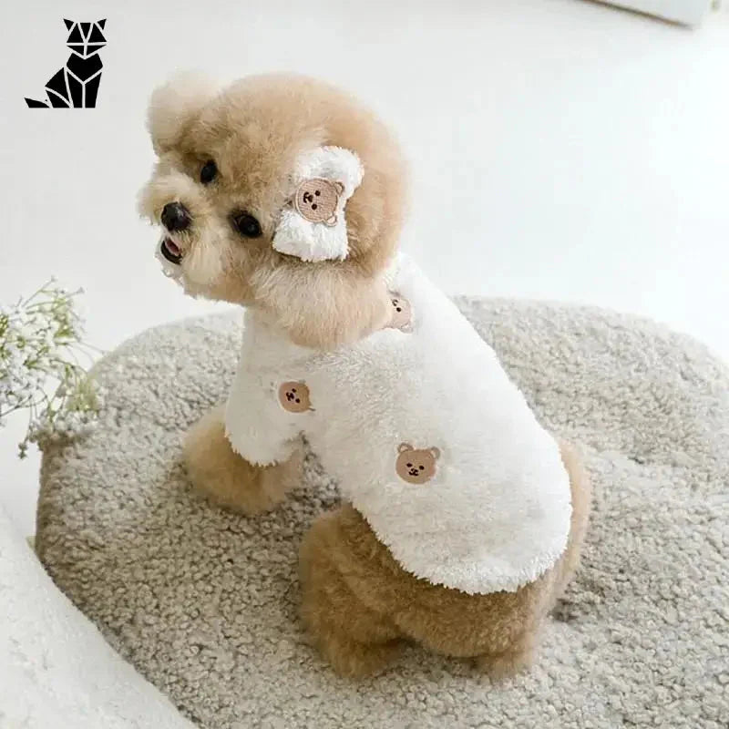 Adorable petit chien en pull polaire pour chiens assis sur un tapis avec un animal en peluche